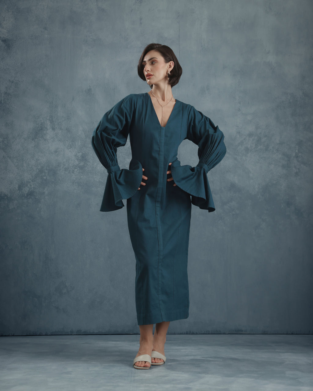 Brie Bishop Sleeve Dress