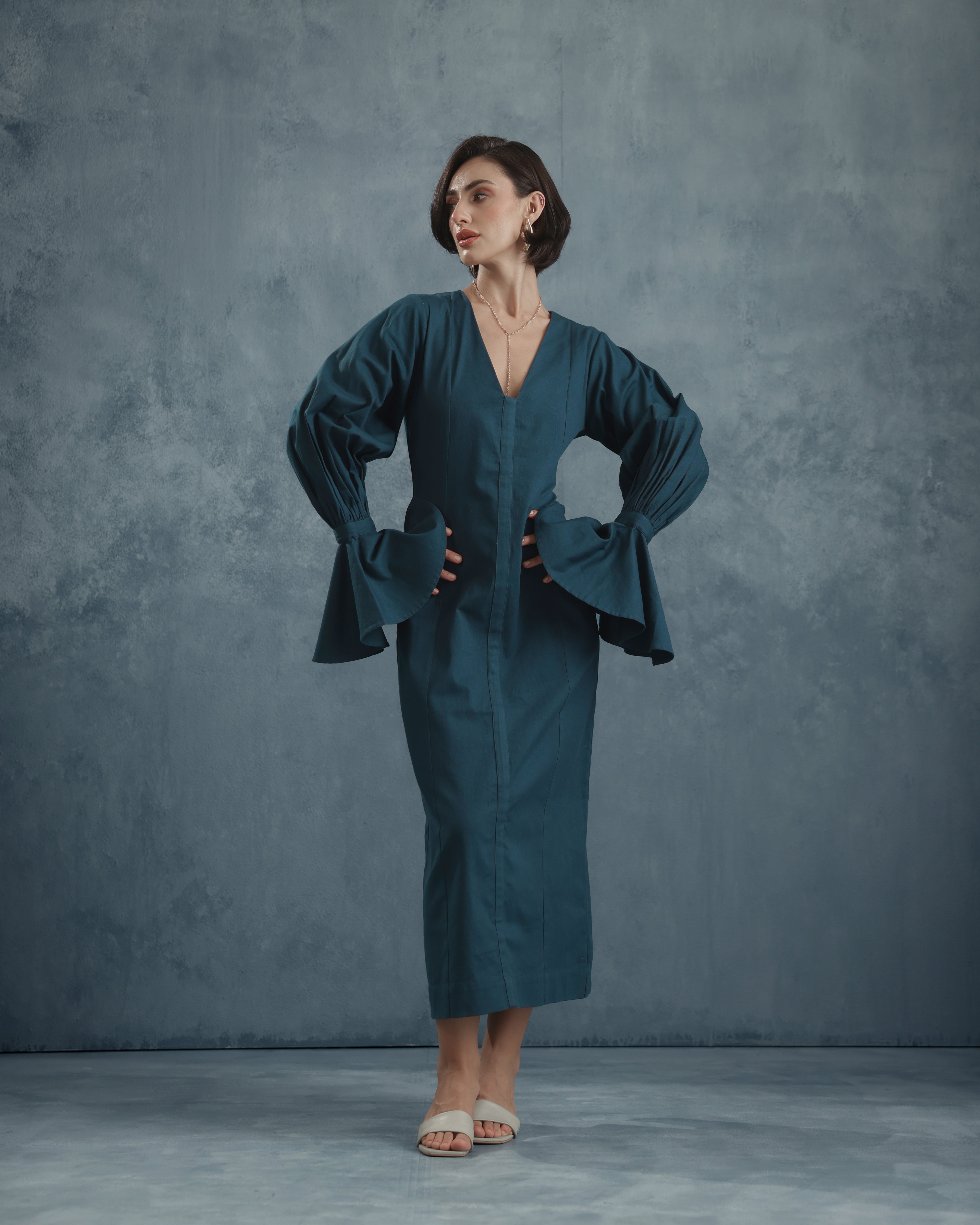 Brie Bishop Sleeve Dress