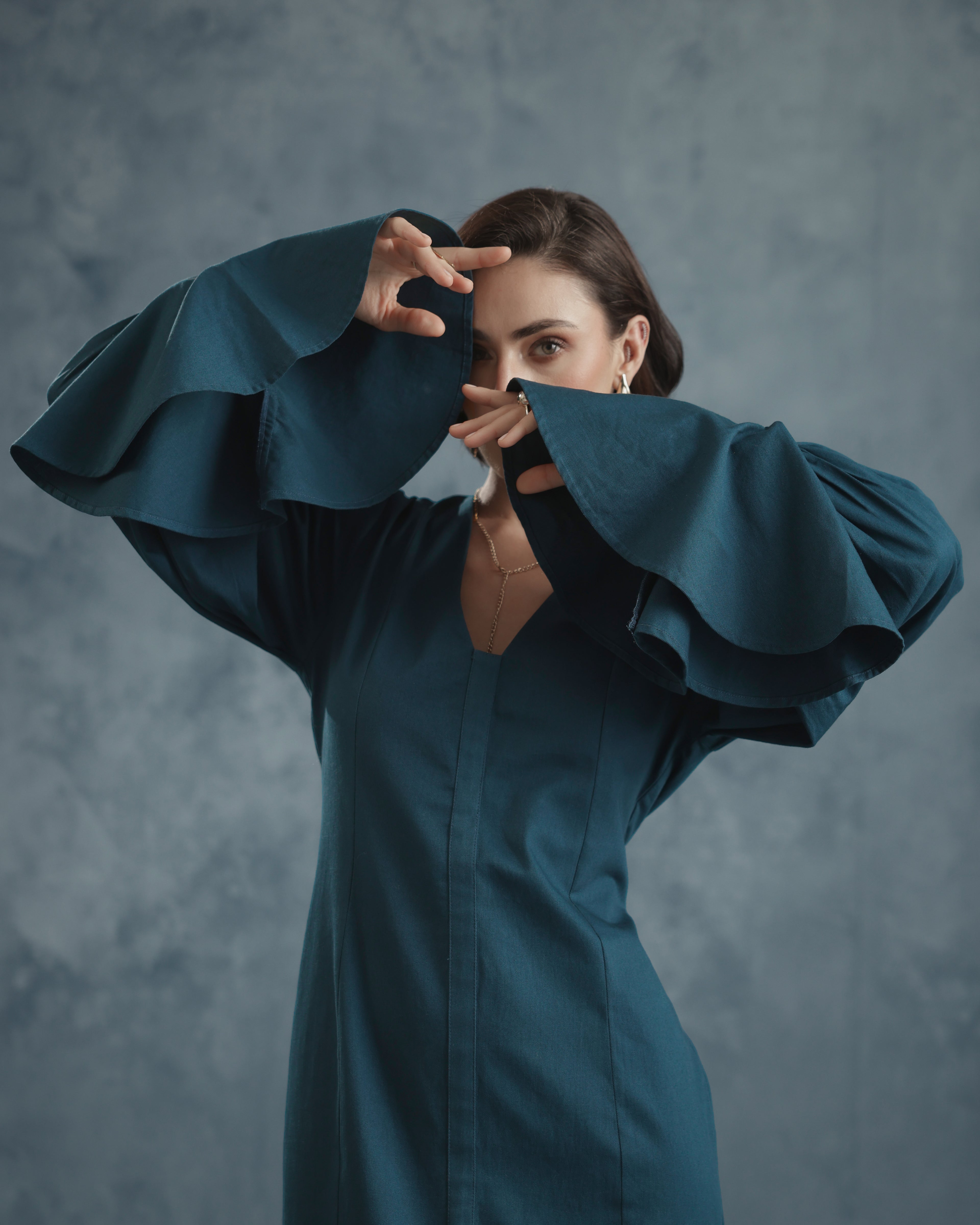 Brie Bishop Sleeve Dress