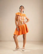 Bella Collared Flared Dress