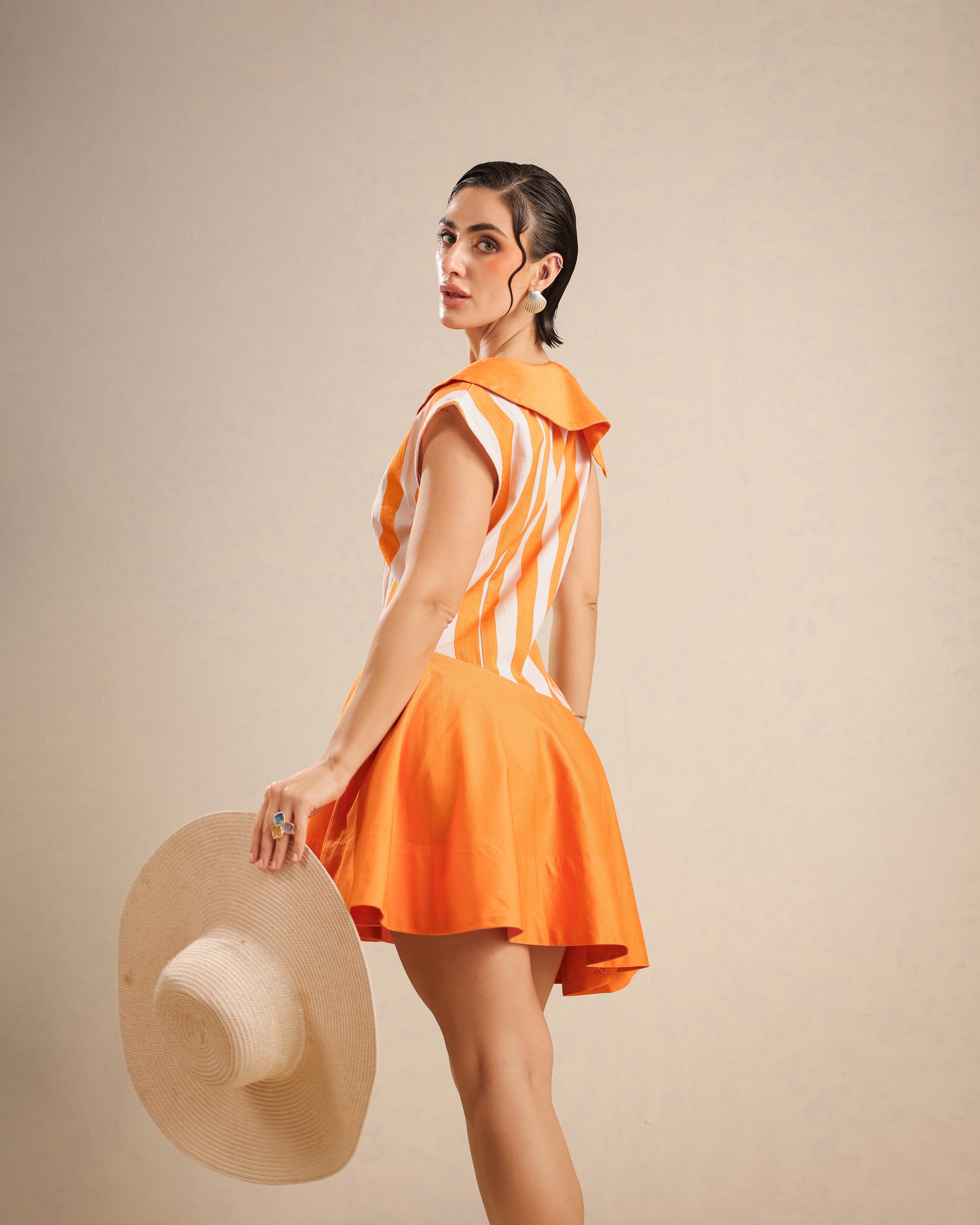 Bella Collared Flared Dress